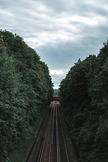 Trees, Miscellanea, Miscellaneous, Corridor, Railway, Tunnel, Rails HD phone wallpaper