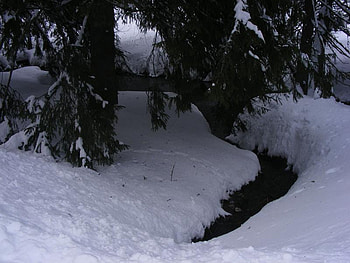 winter 5, winter HD wallpaper