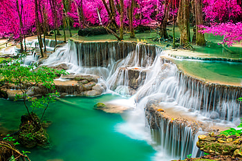 Waterfall, river, nature, tree HD wallpaper