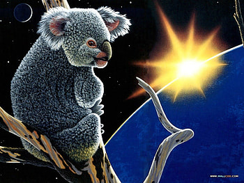 New Day Dawning, dawn, bears, fantasy, animals HD wallpaper