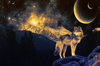 Lone Wolf, Trees, Wolf, Mountains, Nature, Nebula, Stars, Stardust, Planets, Space, Universe HD wallpaper