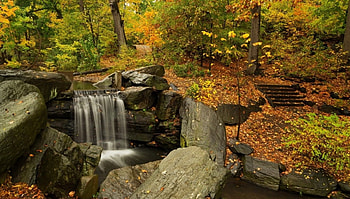 Autumn Forest Waterfall, Waterfalls, Stones, Forest, Foliage, Autumn HD wallpaper