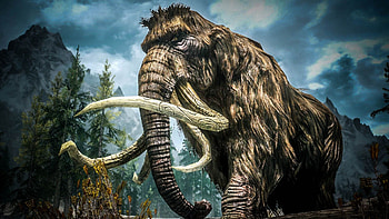 Mammoth wooly mammoth, Skyrim, Ancient creature, Majestic beast HD wallpaper