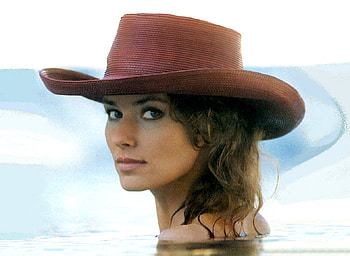 Cowgirl Shania.., style, shania twain, cowgirl, fun, brunettes, country, fashion, music, girls, women, models, western, hats, female HD wallpaper