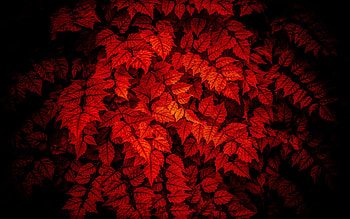 red leaves texture, background with autumn leaves, autumn texture, autumn leaves texture, autumn red background HD wallpaper
