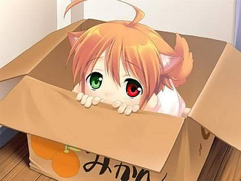 Will you take me home?, cute, neko, green eye, red eye HD wallpaper