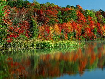 Autumn, river, colorful, nature HD wallpaper