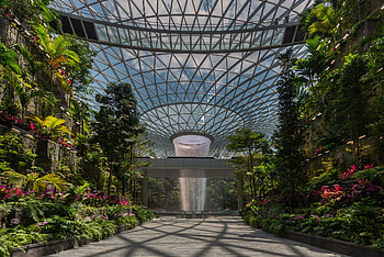 Singapore Changi International Airport, Jewel, The New York Times HD wallpaper