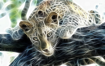 Animals, Art HD wallpaper