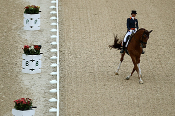 Adelinde Cornelissen, Equestrian Sports HD wallpaper