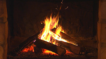 Fireplace , Green themed, Relaxing ambiance, Nature-inspired HD wallpaper