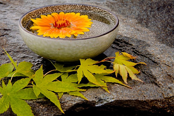 Warm spirit, sunshine, entertainment, ceramic bowl, arrangement, orange, fashion, leaves, spirit, flower, love, warm, feng shui, forever HD wallpaper