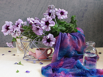 Flowers, Water, Petals, Bottle, Scarf, Watering Can, Calibrachoa, Calirohoa HD wallpaper