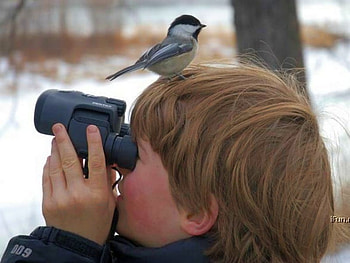 Search, funny HD wallpaper
