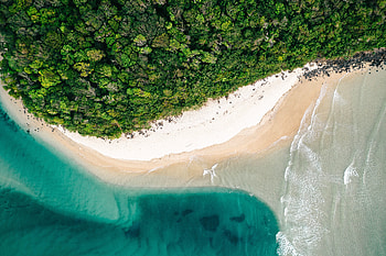 Adorable, aerial view, beach, nature HD wallpaper