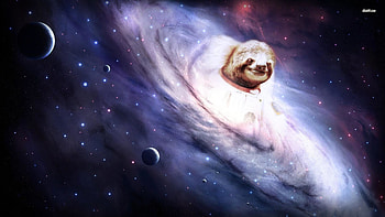 Sloth - Cave HD wallpaper