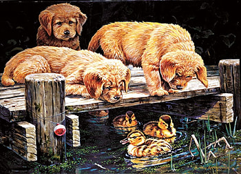 Hi, there!, rata, water, ducklings, animal, dog, duck, summer, puppy, painting, pictura, vara HD wallpaper