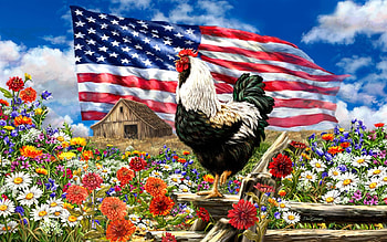 Summer Glory, rooster, flag, fence, artwork, painting, flowers HD wallpaper