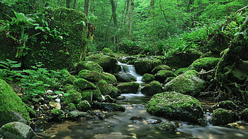 Wonderful landscapes - places to dream. Beautiful Nature Landscapes . HD wallpaper