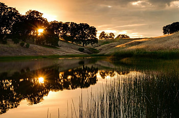 On Golden Pond, relaxing, evening, sunset, pond HD wallpaper