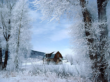 Landscape, Winter, Nature HD wallpaper