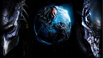 Alien vs predator, Epic battle, Intergalactic showdown, Thrilling encounters HD wallpaper