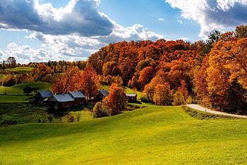 graphy fall, , Background , Vibrant colors HD wallpaper