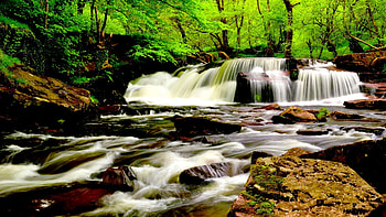 SPRING FALLS, northern europe, spring, brecon, beauty, national park, public land, scenic, mid wales, woodland, daytime, western europe, europe, landscape, uk, british isles, rock, wales, flowing water, waterfall, forest, stream HD wallpaper