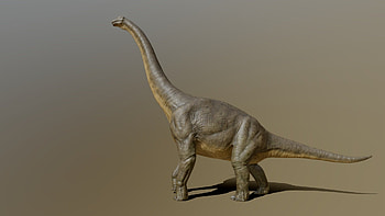 Brachiosaurus giraffatitan 3d, Pxltiger 9c97710 sketchfab, Brachiosaurus HD wallpaper