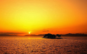 Nature, Trees, Sunset, Sea, Sun, Horizon, Ripples, Ripple, Outlines, Island, Islet HD wallpaper