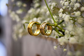 Close-up of shimmering gold wedding bands delicately resting on baby's breath flowers, symbolizing love and commitment. HD wallpaper