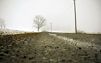 Nature, Macro, Road, Fog, Asphalt HD wallpaper