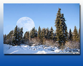 GORGEOUS WINTER SCENIC VIEW, background, sky, moon, forest HD wallpaper