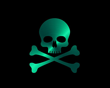 teal skull, black, teal, skull, labrano, gizzzi HD wallpaper