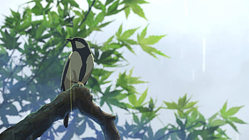 makoto shinkai | Makoto Shinkai's new works: The Garden of Words 1 /63 HD wallpaper