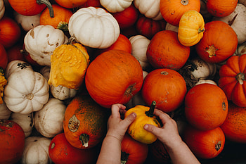 Food, Autumn, Pumpkin, Hands, Child HD wallpaper