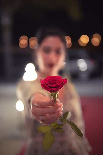 Blurry woman holding a vibrant red rose in focus against a bokeh-lit background. HD phone wallpaper