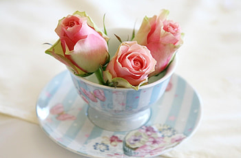 Flowers, Roses, Cup, Buds, Saucer HD wallpaper