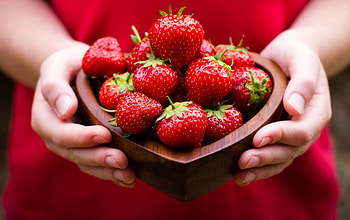 strawberries in girls hand, basket, red, beauty, strawberries HD wallpaper