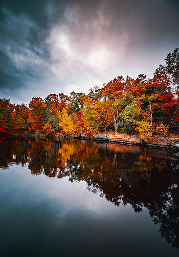 Autumn, lake, nature, reflections HD phone wallpaper