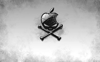 Funny, Background, Logos HD wallpaper