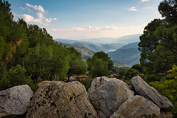 Landscape, Nature, Trees, Mountains, Rocks HD wallpaper