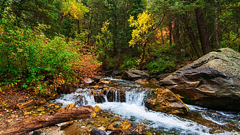 American Fork Canyon, Utah, rocks, river, cascades, trees, stones, usa HD wallpaper
