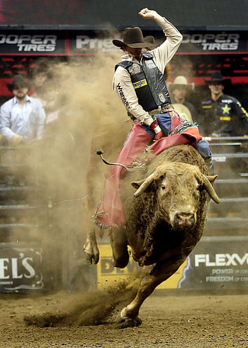 Masonbull riding ideas, Inspiring quotes, Fearless riders, Cowboy spirit HD phone wallpaper