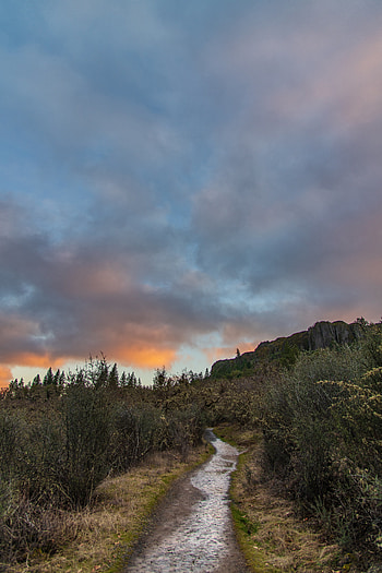 Landscape, Nature, Bush, Rock, Path HD phone wallpaper