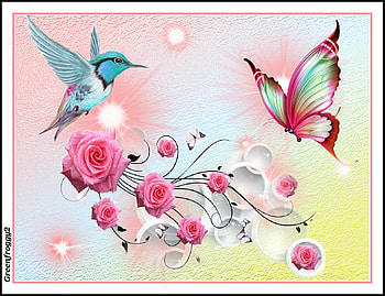 PRETTY PASTEL, ART, BUTTERFLY, BIRD, ABSTRACT HD wallpaper
