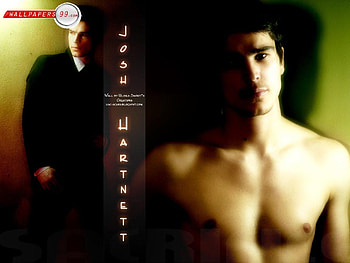 Josh Hartnett, harbour, hartnett, pearl, slevin, josh HD wallpaper