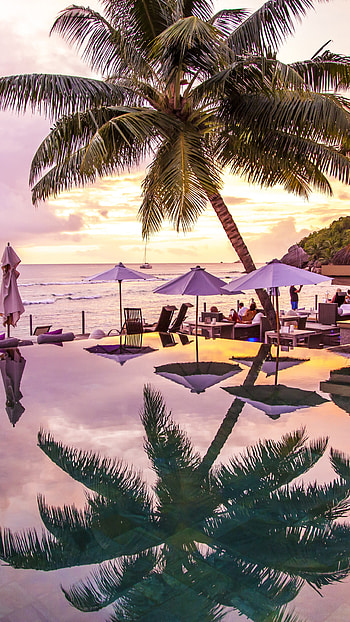 Infinity pool, , La Digue Praslin Seychelles, Palms travel HD phone wallpaper
