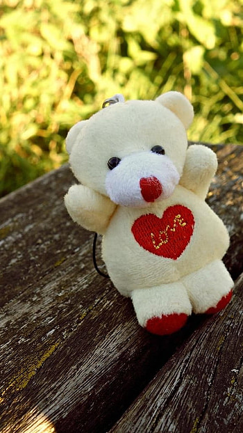 Cute Teddy Bear, Wooden, Nature Background, nature, background HD phone wallpaper