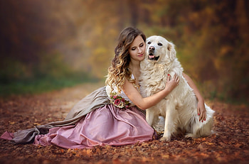 Friends, animals, love, dogs, cute, nature, girl HD wallpaper